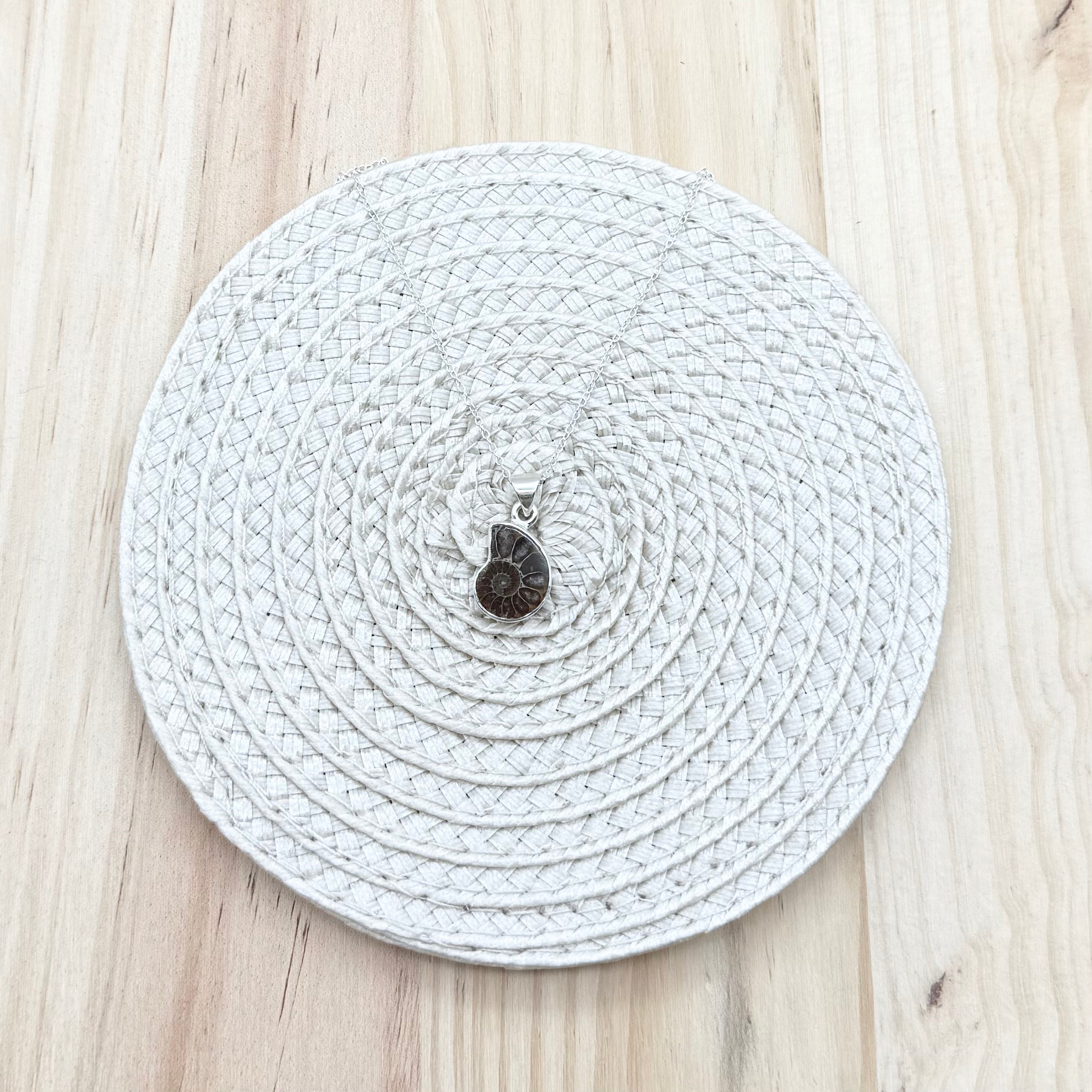 Ammonite Mini Shell Necklace